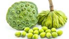 Gương sen tươi 1kg