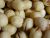 Sen lụa tươi HẤP (béo,bùi,thơm ngon) 1kg