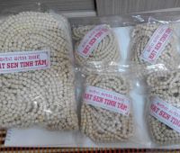 Hạt sen Tịnh Tâm Huế