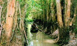 Xẻo Quýt - Khu Di Tích Lịch Sử - Sinh Thái Rừng Tràm