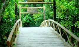 Về Đồng Tháp thăm di tích Xẻo Quýt