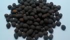 Sen khô nguyên hạt 500g (HD)